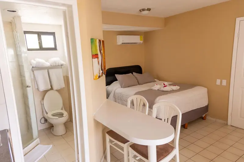 Une chambre avec un lit et une salle de bain attenante.
