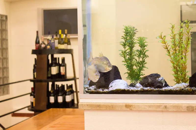 Un aquarium décoratif est intégré dans un comptoir de bar avec des bouteilles de vin.