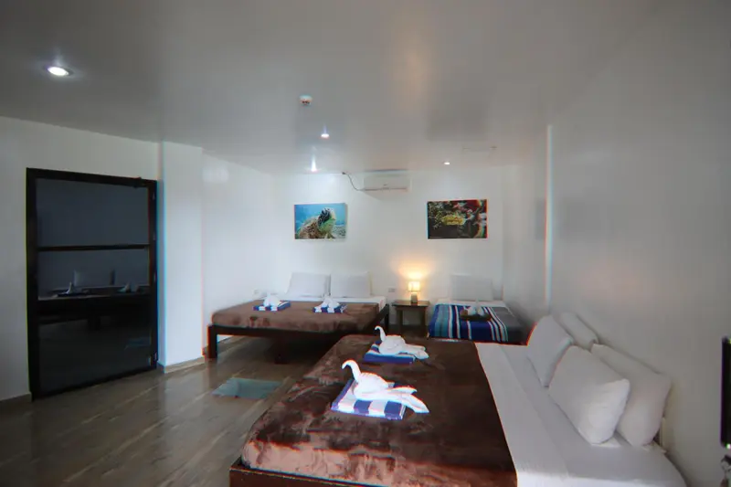 Chambre lumineuse avec lits décorés de serviettes en forme d'animaux.