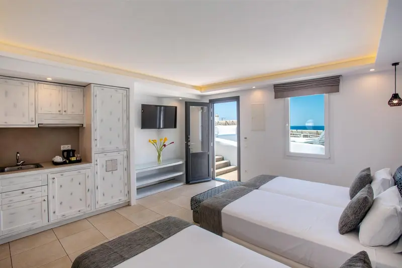 Une chambre lumineuse avec un coin cuisine et un accès à une terrasse.