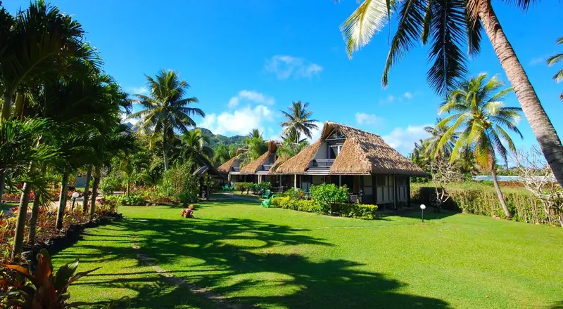 Des bungalows aux toits de chaume se dressent au milieu d'une végétation luxuriante.