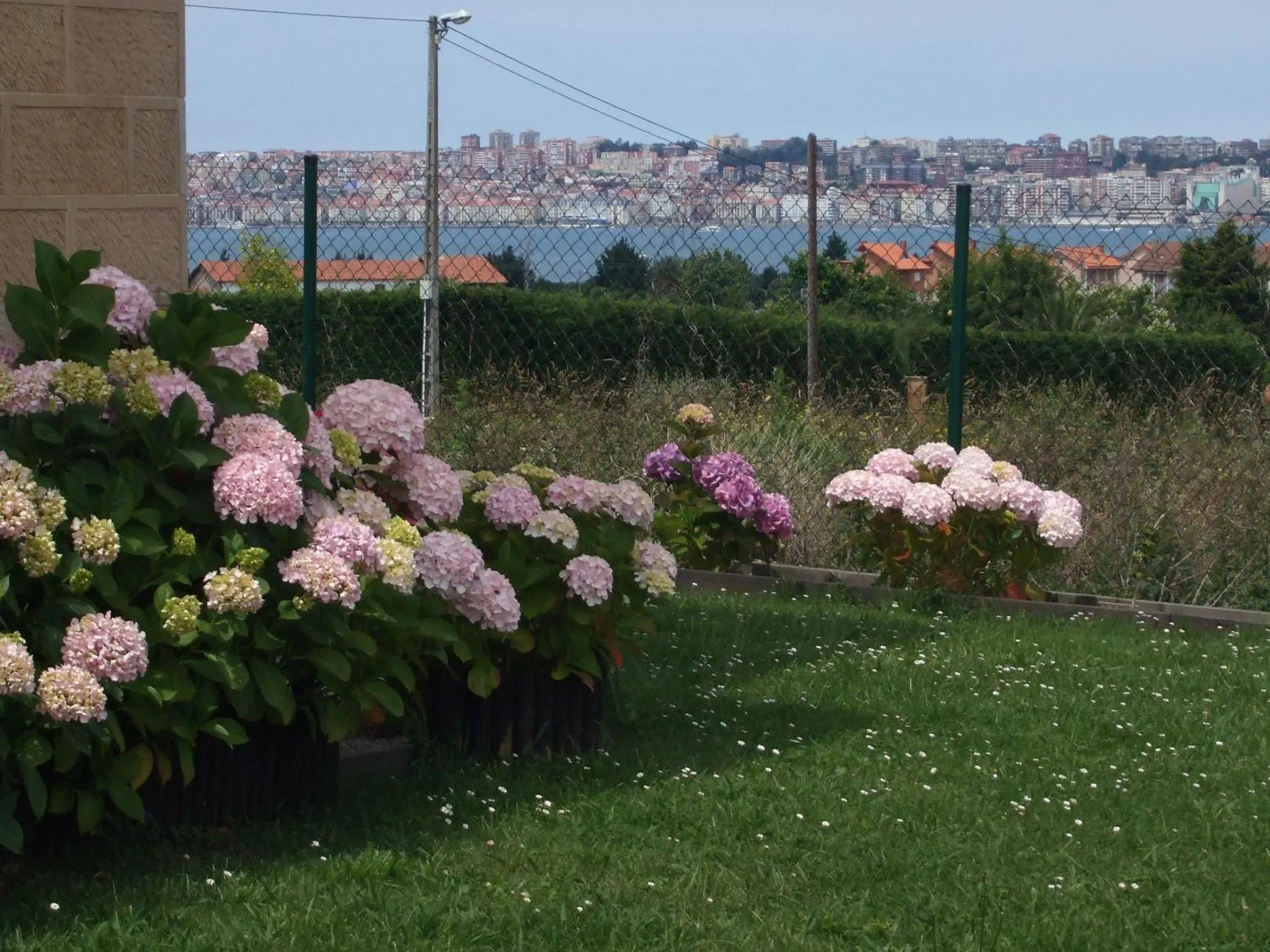 Jardin fleuri avec des hortensias en premier plan et une vue sur la mer en arrière-plan.