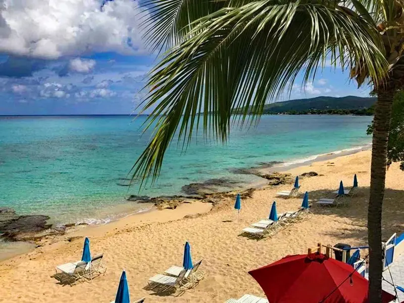 Plage de sable fin bordée de parasols et de transats sous des palmiers.