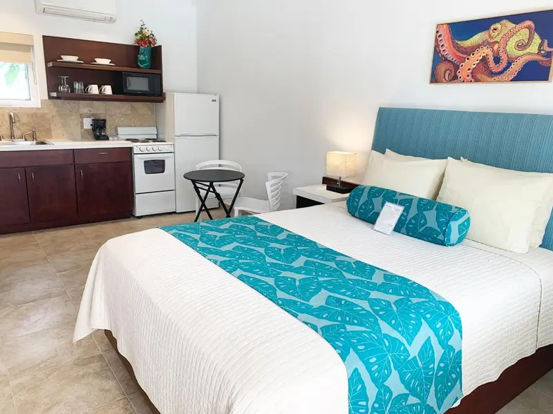 Une chambre lumineuse avec un lit et une kitchenette.