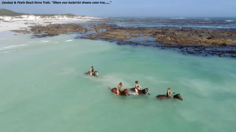 Des cavaliers traversent une eau turquoise peu profonde sur une plage rocheuse.