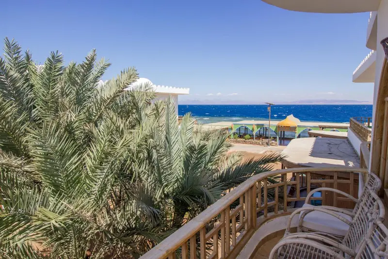 Terrasse avec mobilier d'extérieur donnant sur la mer et la végétation.
