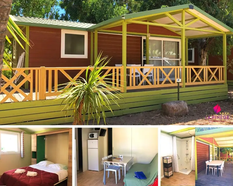 Une maisonnette en bois avec une terrasse ensoleillée et une végétation luxuriante.