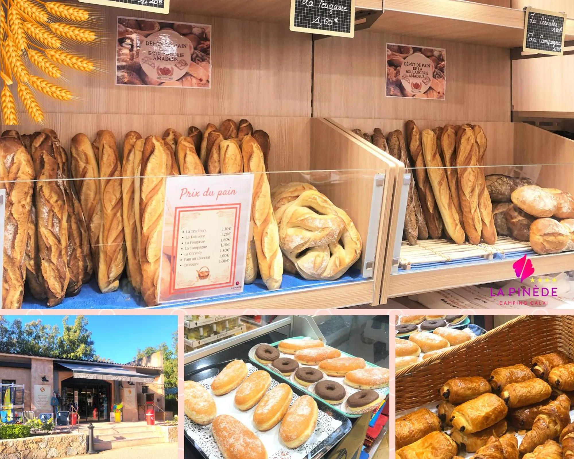 Vitrine d'une boulangerie avec une variété de pains et de viennoiseries.