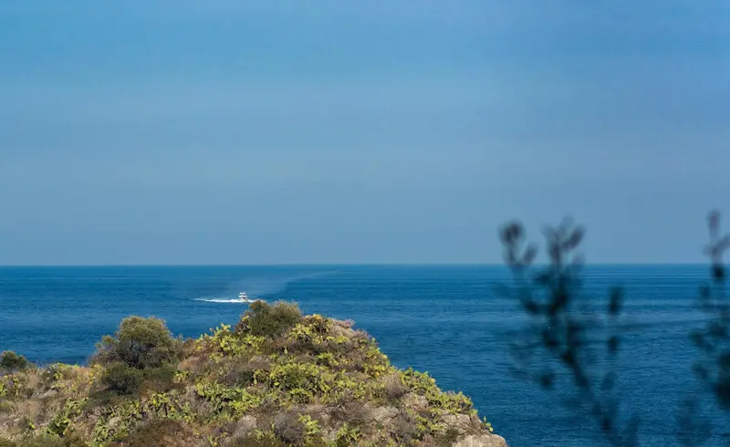 Vue sur la mer bleue depuis une côte rocheuse et végétalisée.