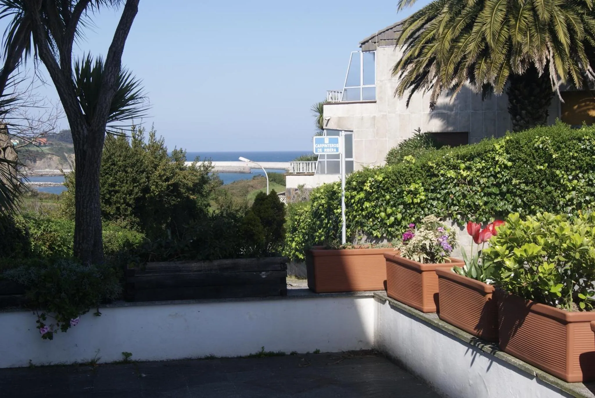 Terrasse fleurie avec vue sur la mer et le littoral.