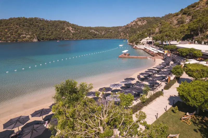 Vue aérienne d'une plage de sable fin bordée de transats et de parasols.