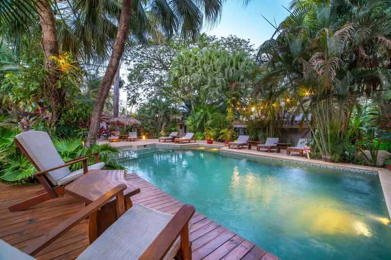 Transats et piscine au milieu d'une végétation luxuriante.