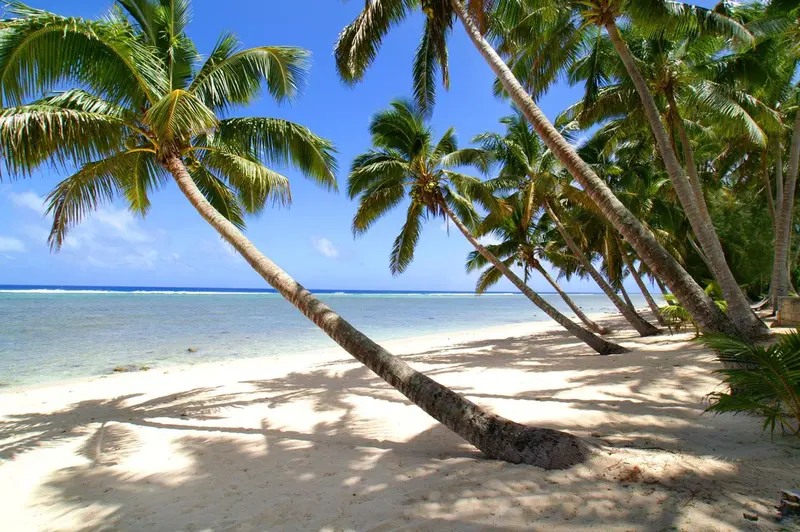 Plage de sable blanc bordée de palmiers sous un ciel bleu.