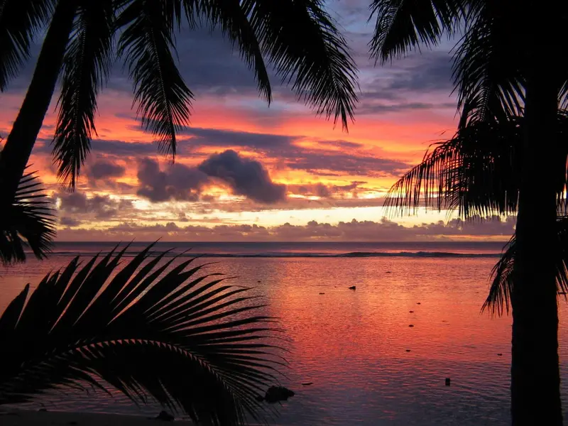 Coucher de soleil flamboyant sur l'océan, encadré par des palmiers.