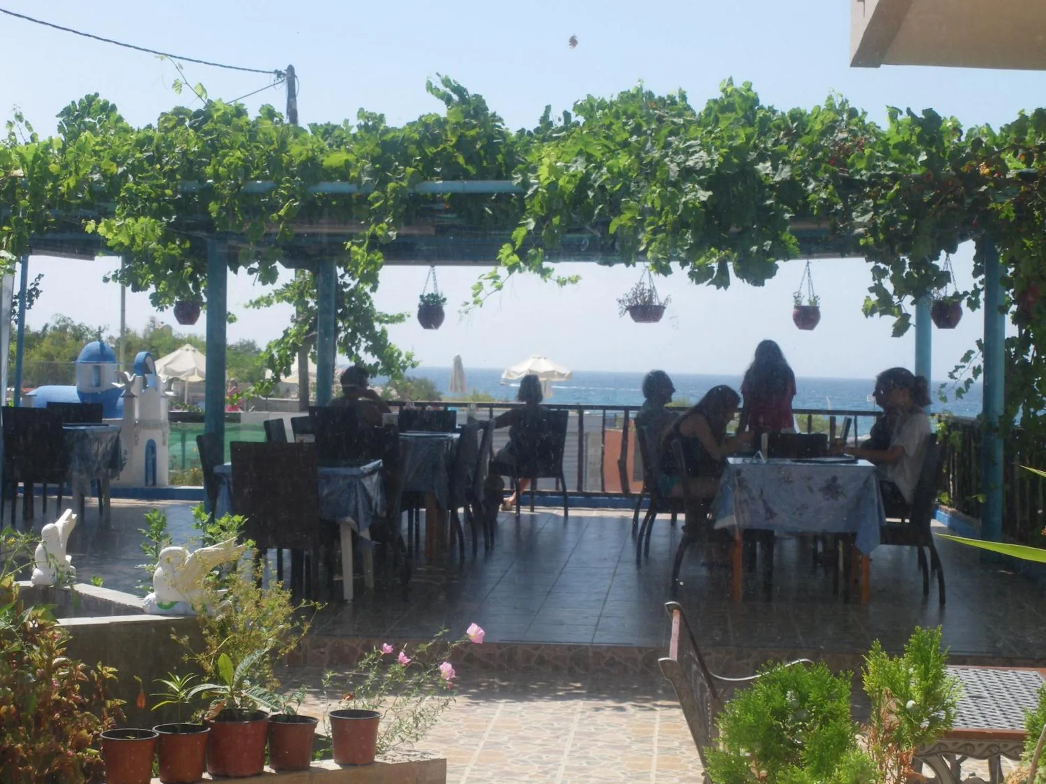 Terrasse ombragée avec tables et chaises donnant sur la mer.