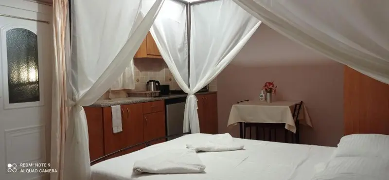 Une chambre avec un lit à baldaquin et une kitchenette.