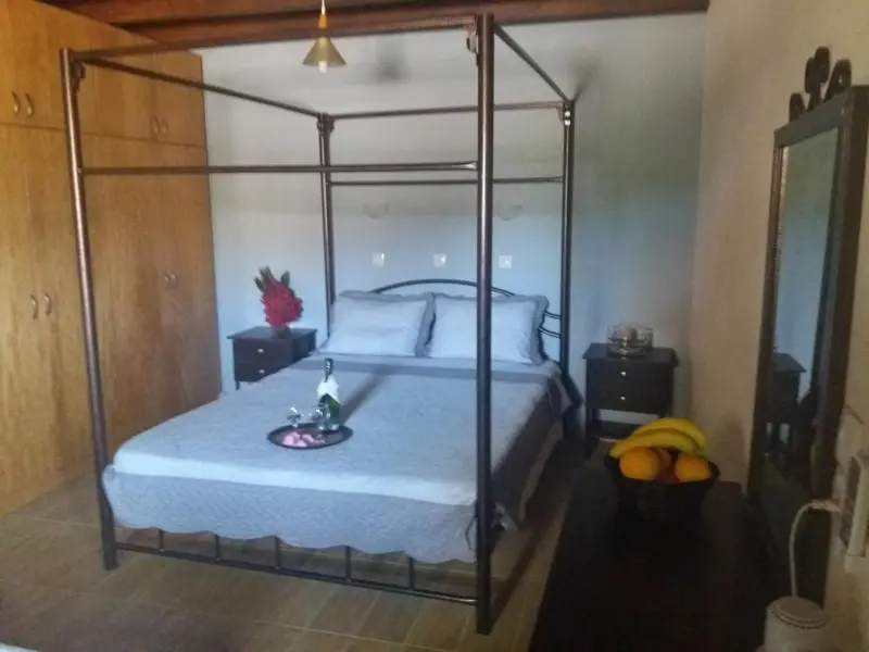 Une chambre avec un lit à baldaquin et une table de chevet.