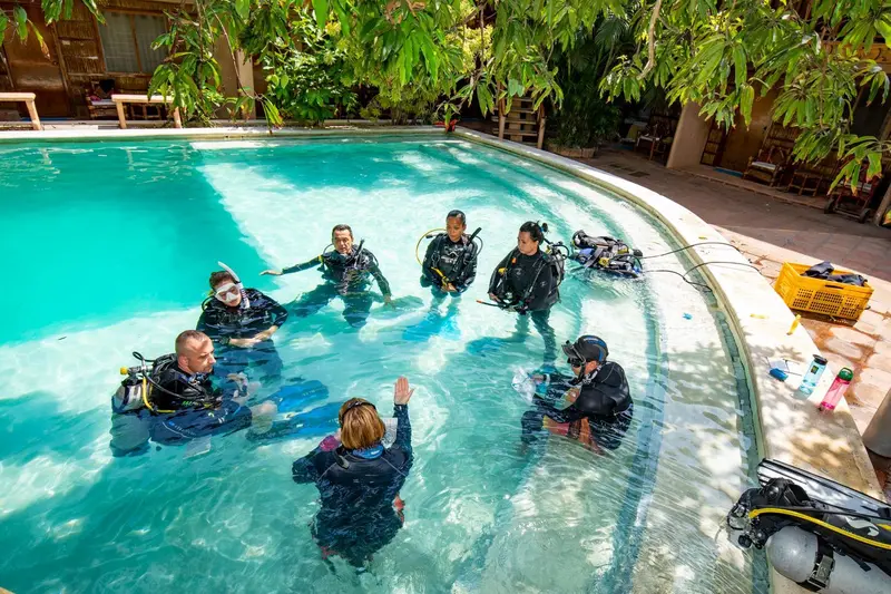 Des personnes en combinaison de plongée discutent au bord d'une piscine.