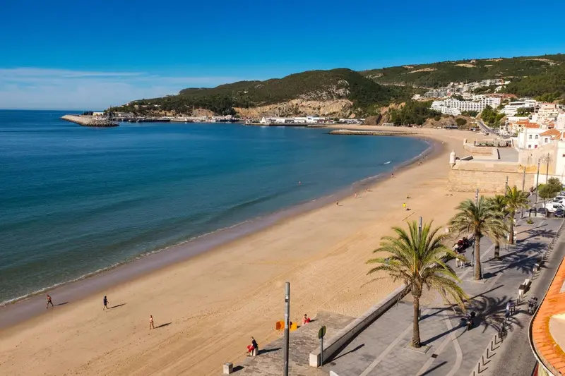 Vue aérienne d'une plage de sable fin bordée de palmiers et d'une promenade.