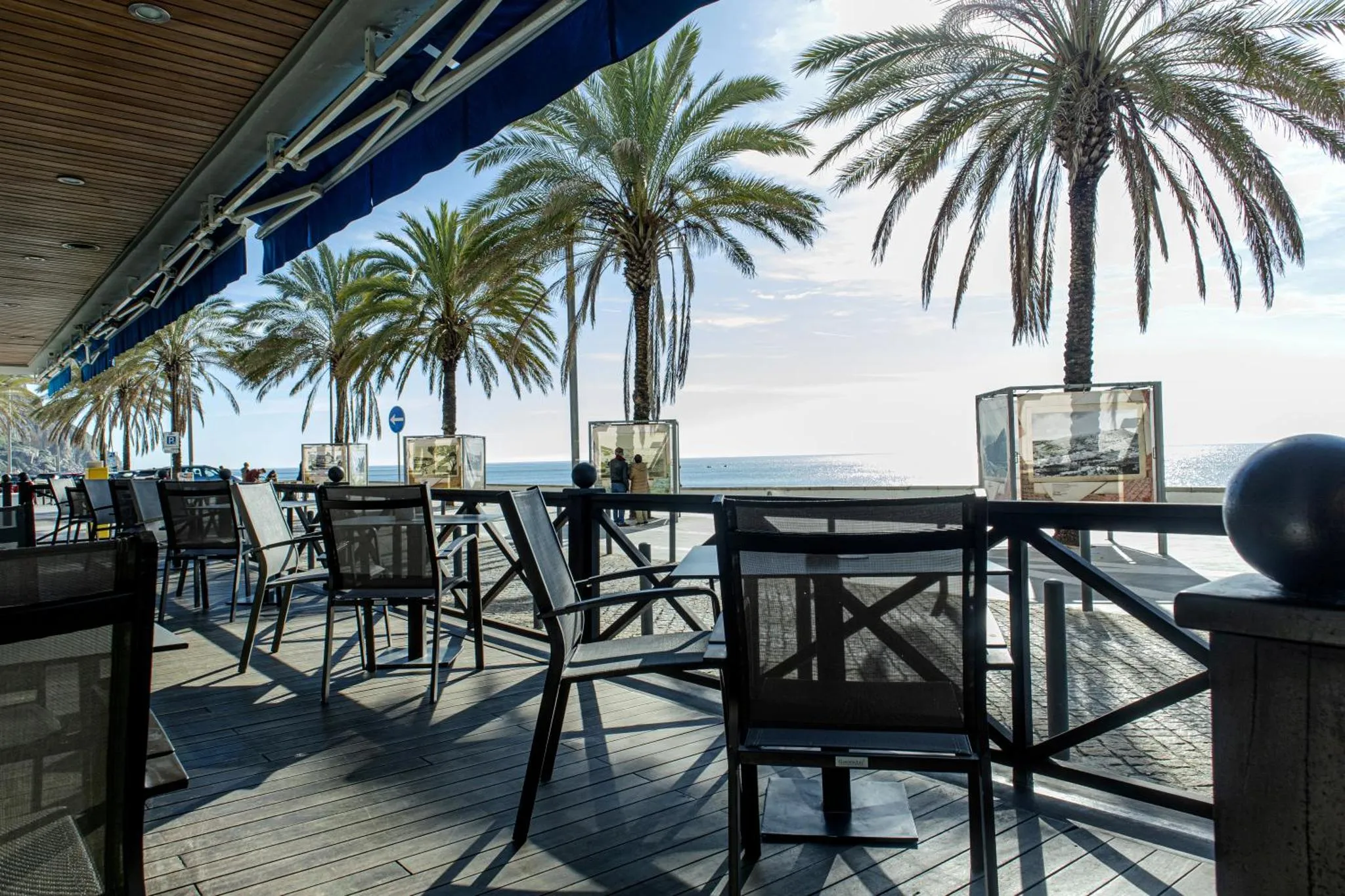 Terrasse ombragée avec tables et chaises donnant sur la mer et des palmiers.
