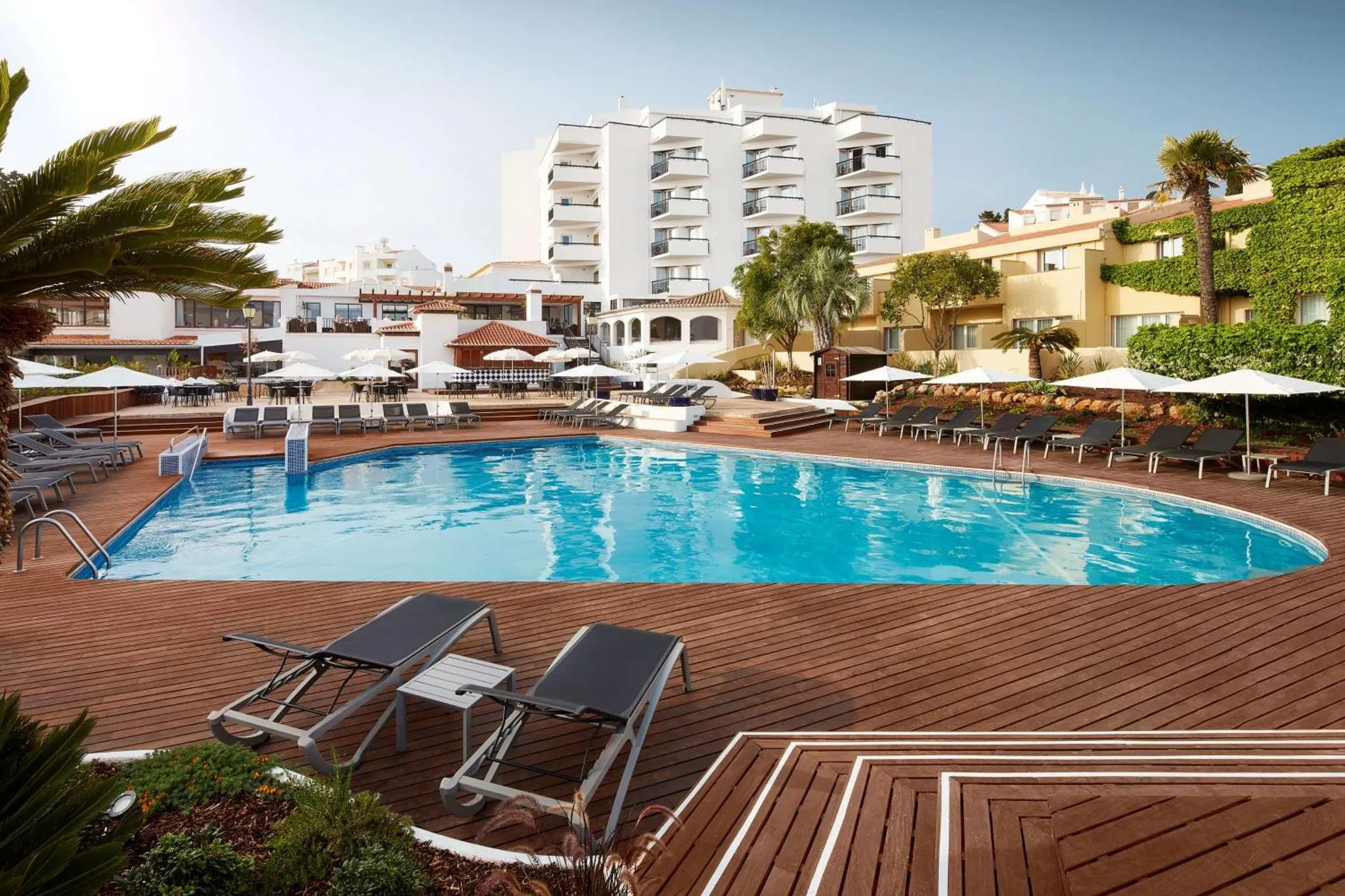 Piscine rectangulaire bordée de transats et de palmiers devant un bâtiment blanc.