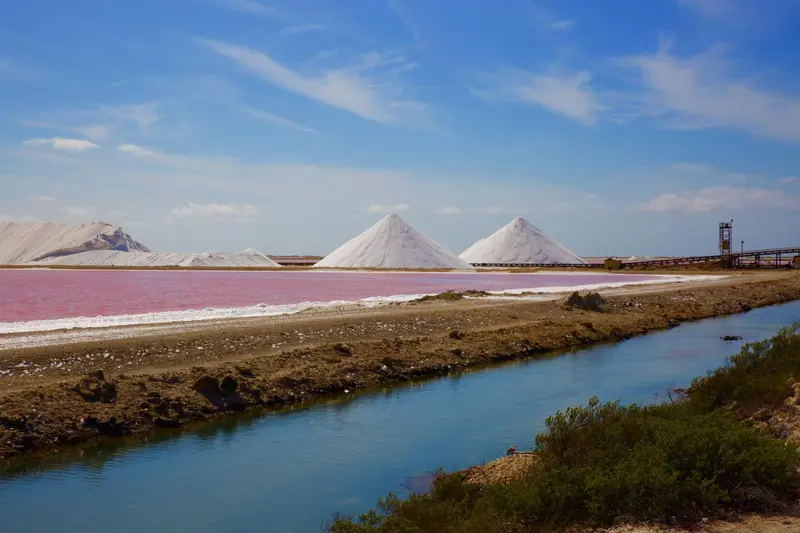 Paysage de marais salants avec des monticules de sel et un canal d'eau.