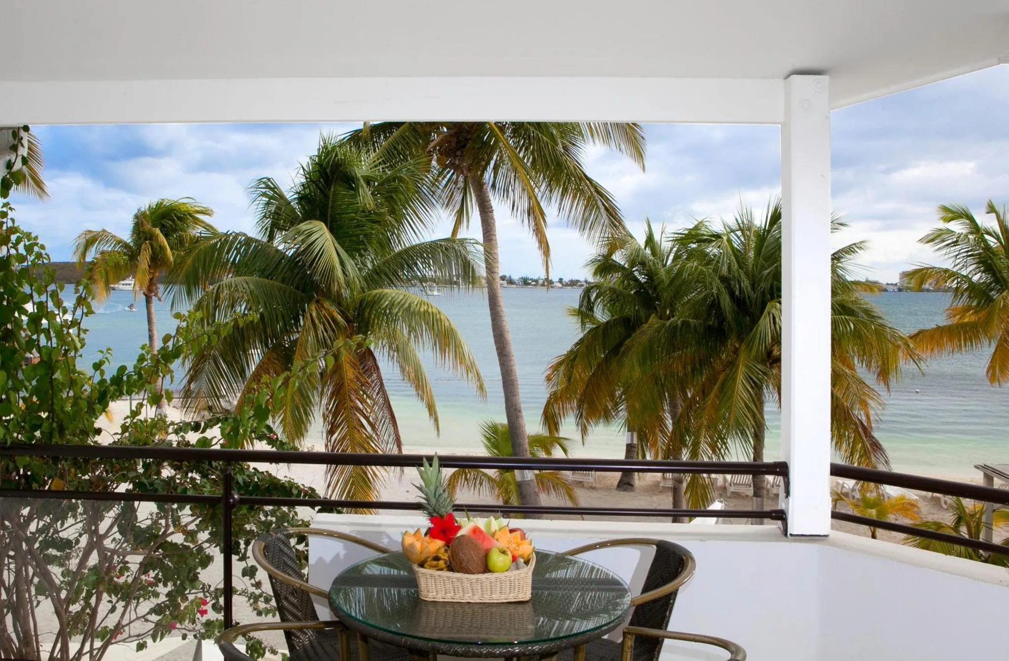 Une table avec des fruits est posée sur une terrasse offrant une vue sur la mer et la végétation.