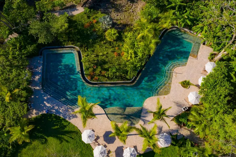Vue aérienne d'une piscine sinueuse entourée de végétation tropicale et de transats.