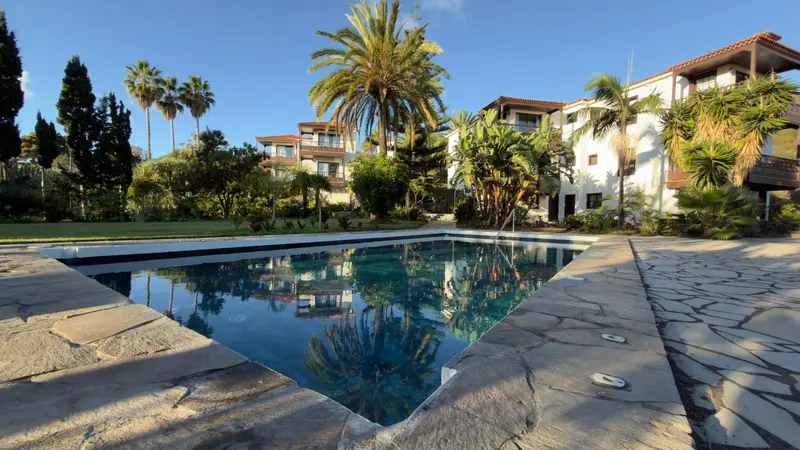 Piscine rectangulaire entourée d'une terrasse pavée et de végétation luxuriante devant un bâtiment blanc.