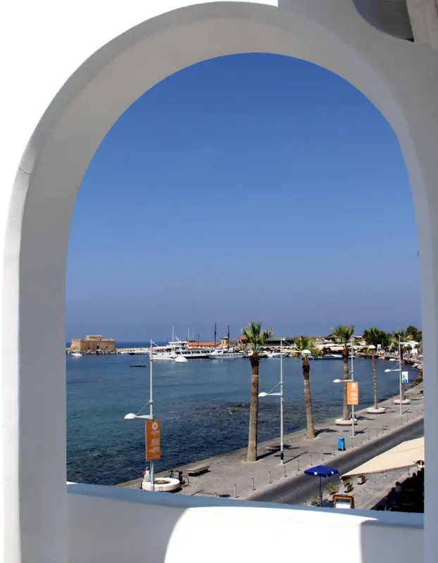 Vue sur une marina ensoleillée avec des palmiers et des bateaux amarrés.