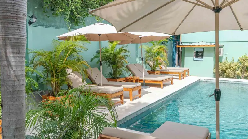 Transats alignés au bord d'une piscine rectangulaire entourée de végétation.