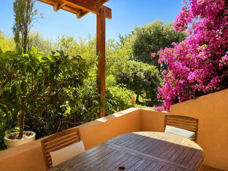 Terrasse ensoleillée avec mobilier en bois et végétation luxuriante.