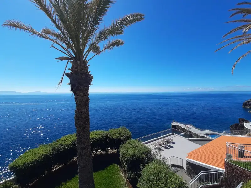 Vue sur la mer depuis une terrasse ensoleillée avec des palmiers.