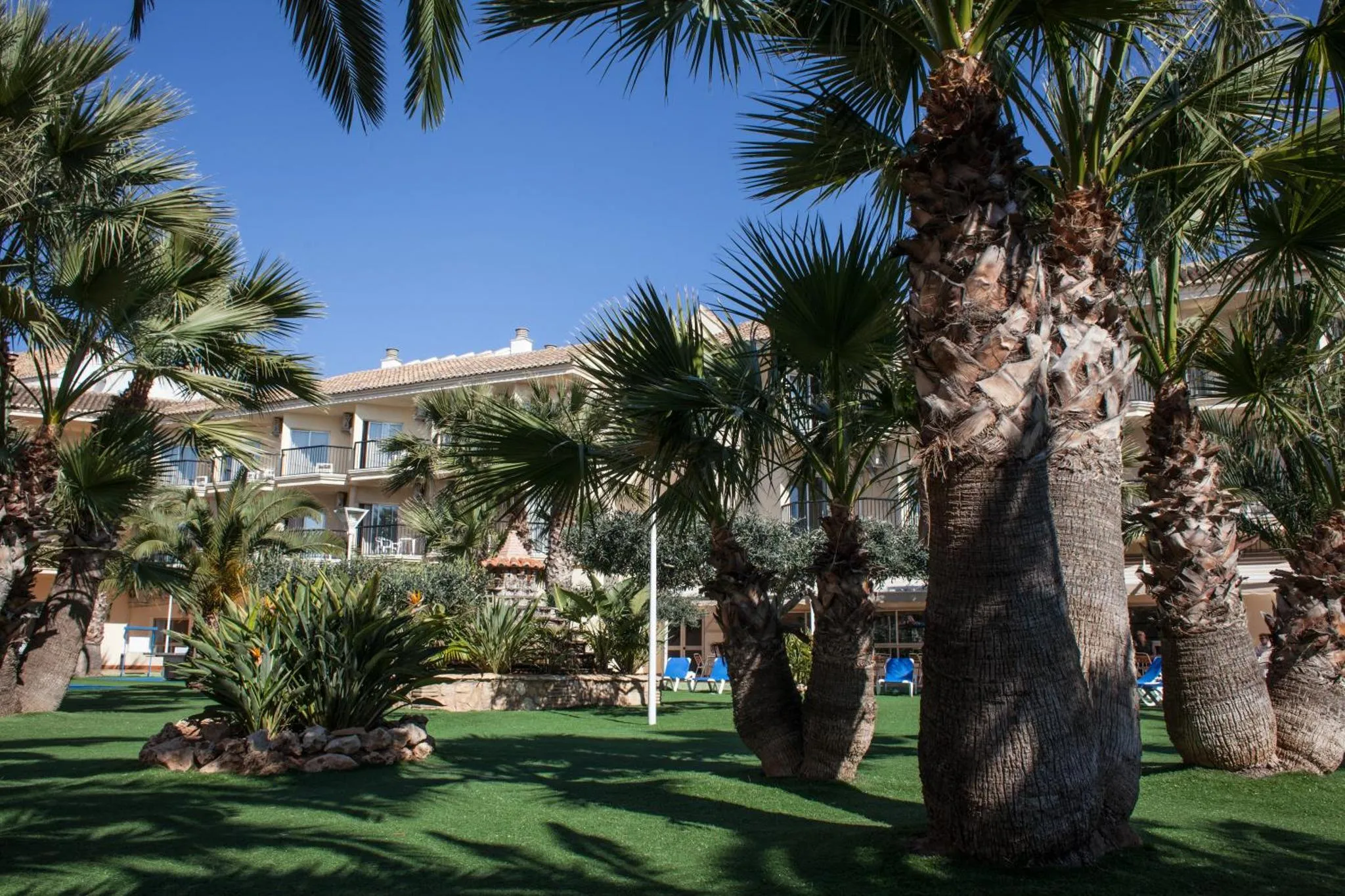 Jardin verdoyant avec des palmiers et des transats devant un bâtiment.