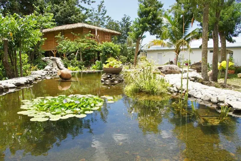 Un bassin d'eau entouré de végétation luxuriante et de rochers, avec une structure en bois en arrière-plan.