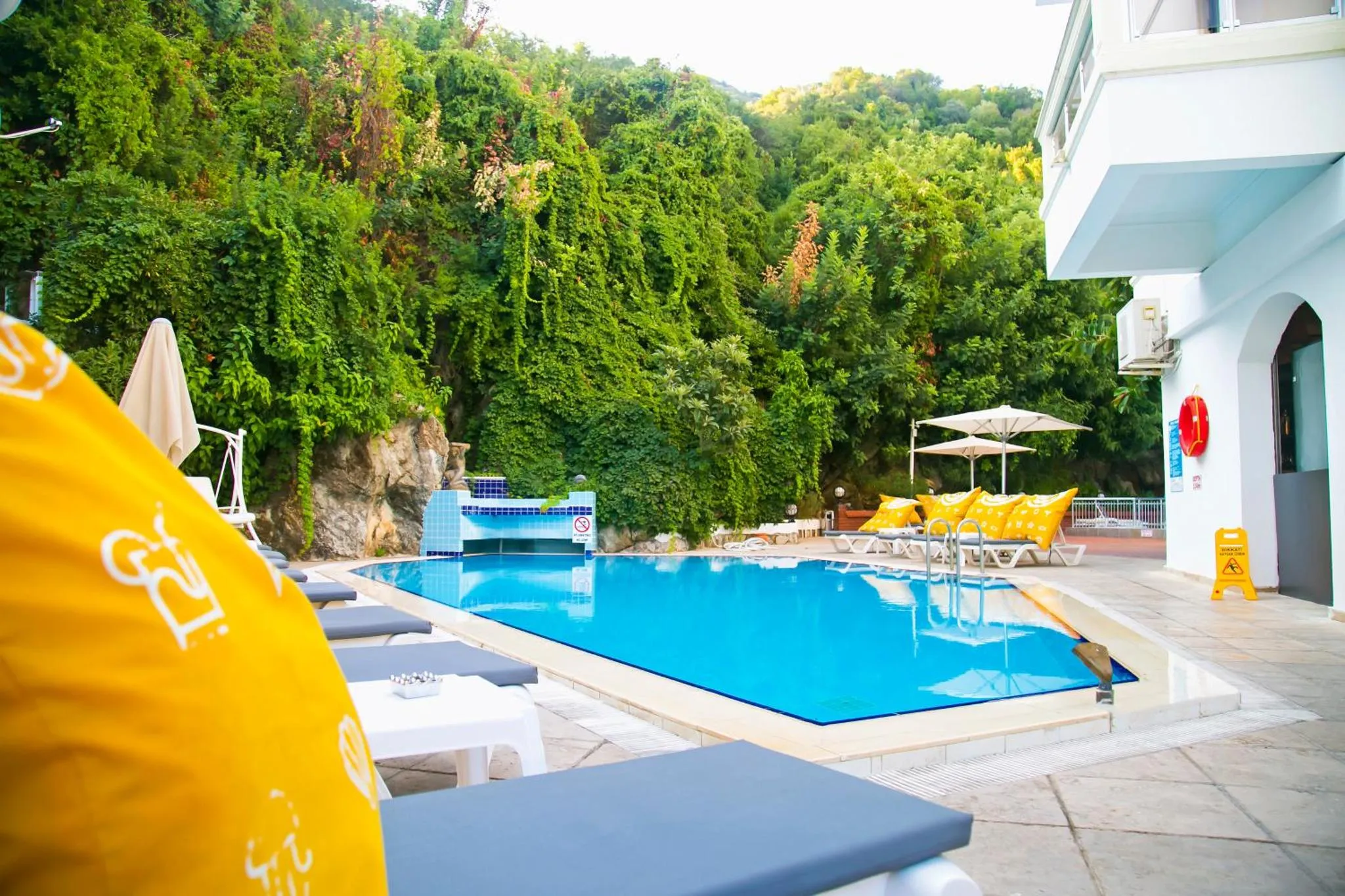 Une piscine bleue entourée de transats et de parasols, avec une végétation luxuriante en arrière-plan.