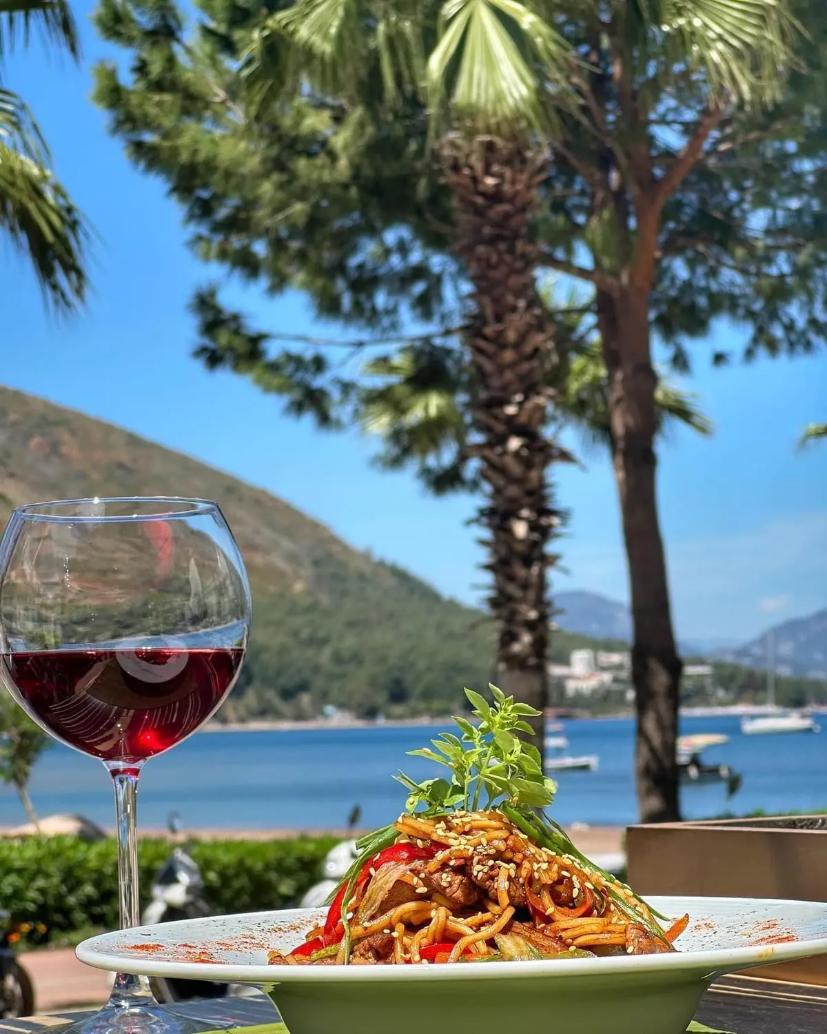 Un verre de vin rouge et un plat de nouilles sont présentés sur une terrasse ensoleillée avec vue sur la mer.