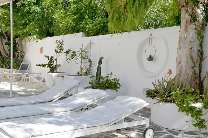 Transats blancs disposés sur une terrasse ensoleillée, contre un mur blanc végétalisé.
