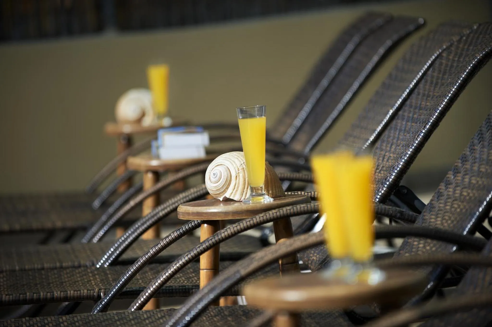 Transats alignés au bord d'une piscine avec des boissons et des coquillages.