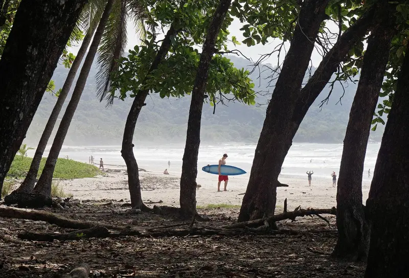 Une plage bordée de végétation tropicale avec des personnes se promenant et faisant du surf.