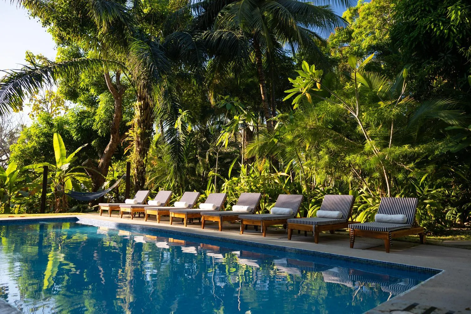 Transats alignés au bord d'une piscine turquoise dans un cadre tropical.