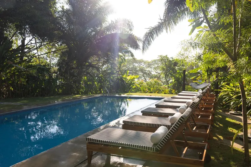 Transats alignés au bord d'une piscine dans un cadre tropical.