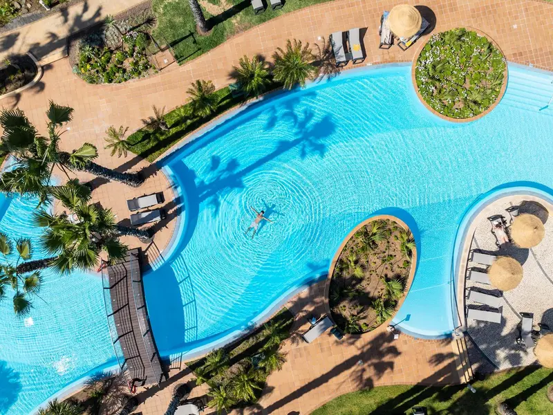 Vue aérienne d'une piscine sinueuse bordée de palmiers et de transats.