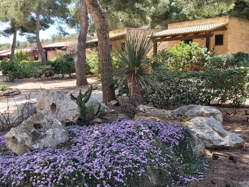 Jardin fleuri avec des rochers et des bâtiments en pierre.