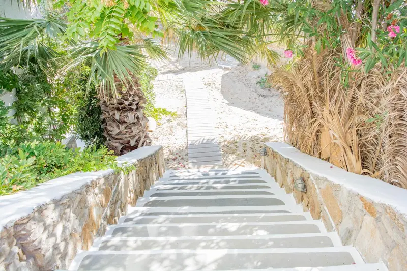 Un escalier en pierre mène à travers une végétation luxuriante vers une plage de sable.