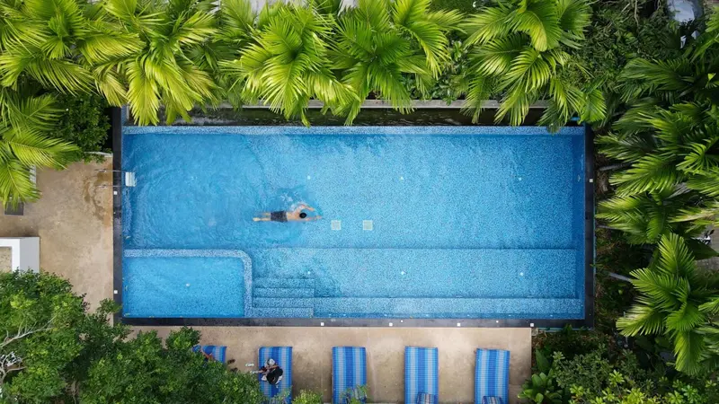 Vue aérienne d'une piscine rectangulaire entourée de végétation tropicale et de chaises longues.
