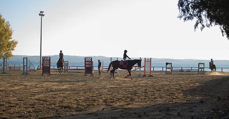 Des cavaliers montent des chevaux sur une plage.