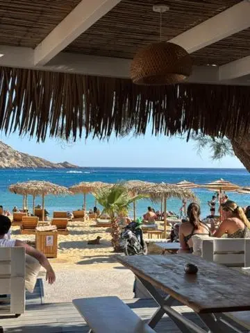 Terrasse ombragée donnant sur une plage avec transats et parasols.