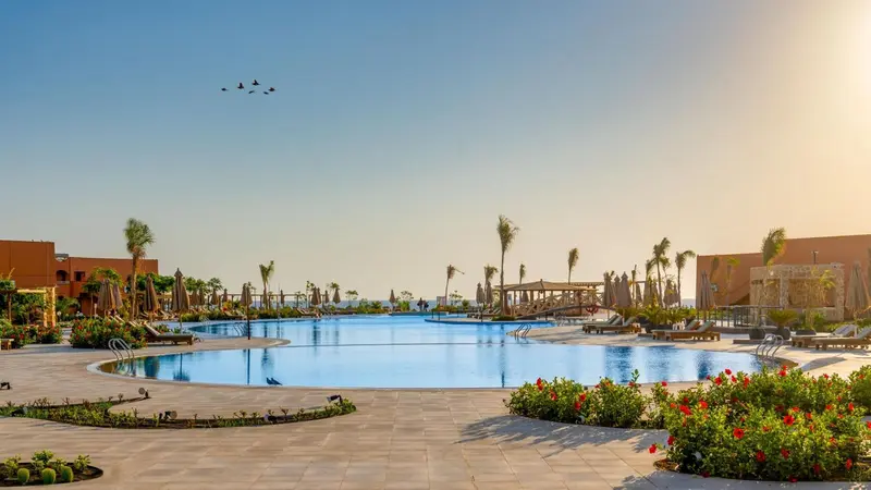 Une grande piscine rectangulaire avec des transats et des palmiers sous un ciel bleu.