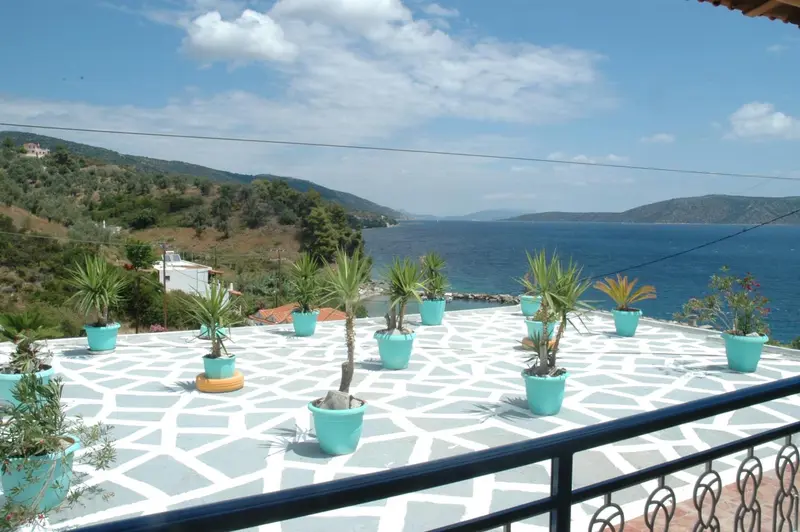 Terrasse fleurie avec vue sur la mer et les collines.